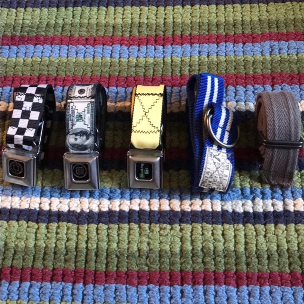 Seatbelt belts